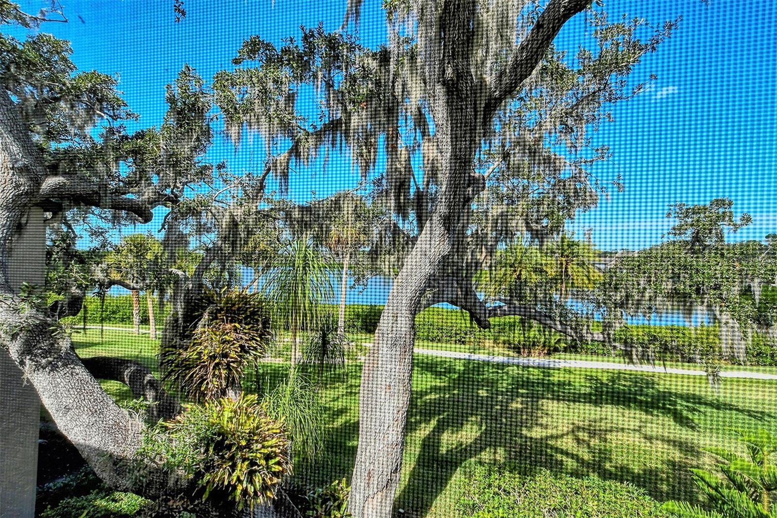 1601 BAYHOUSE POINT DR #BA206, SARASOTA, FL — photo 25