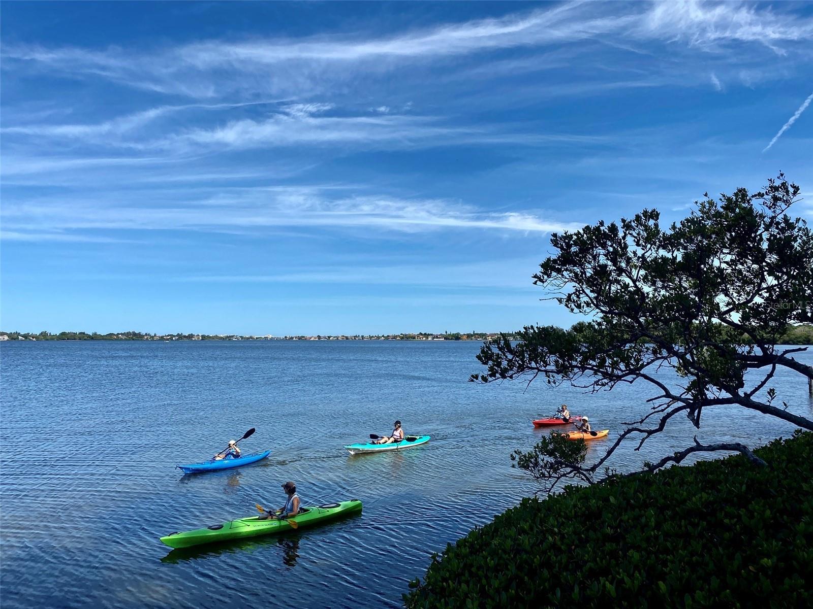 1601 BAYHOUSE POINT DR #BA206, SARASOTA, FL — photo 47
