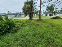 254 LONG MEADOW LN — photo 3