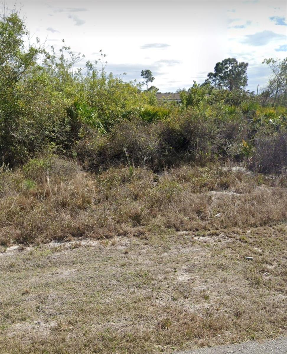 2509 33RD ST SW, LEHIGH ACRES, FL — photo 2