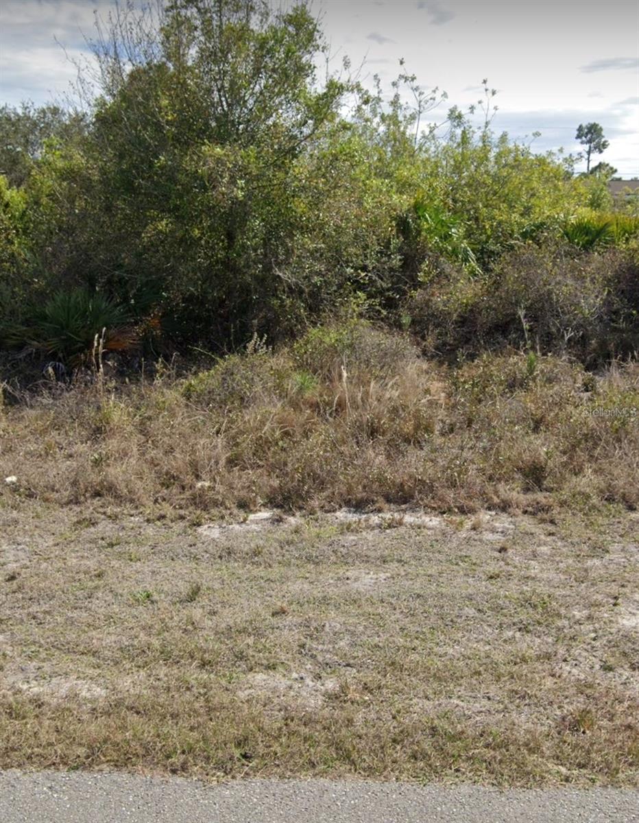 2507 33RD ST SW, LEHIGH ACRES, FL — photo 2
