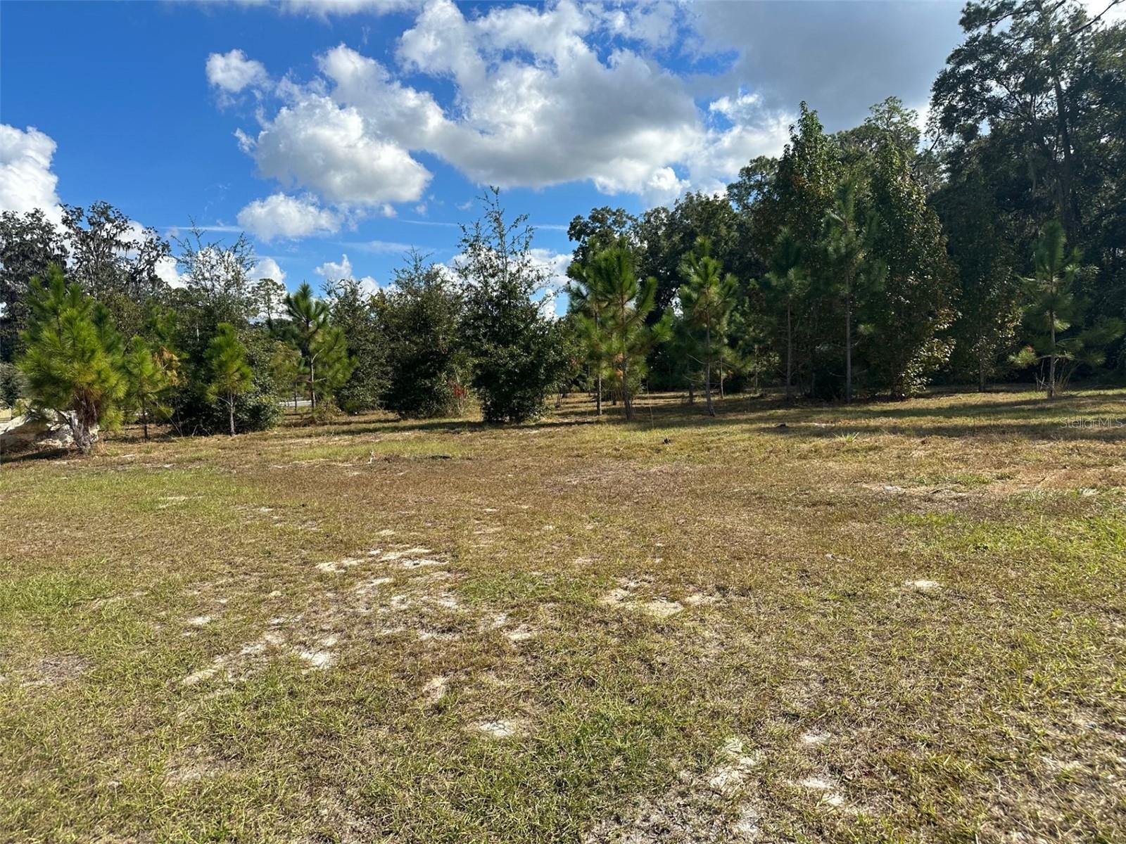 TBD SW 24TH AVE, GAINESVILLE, FL — photo 3