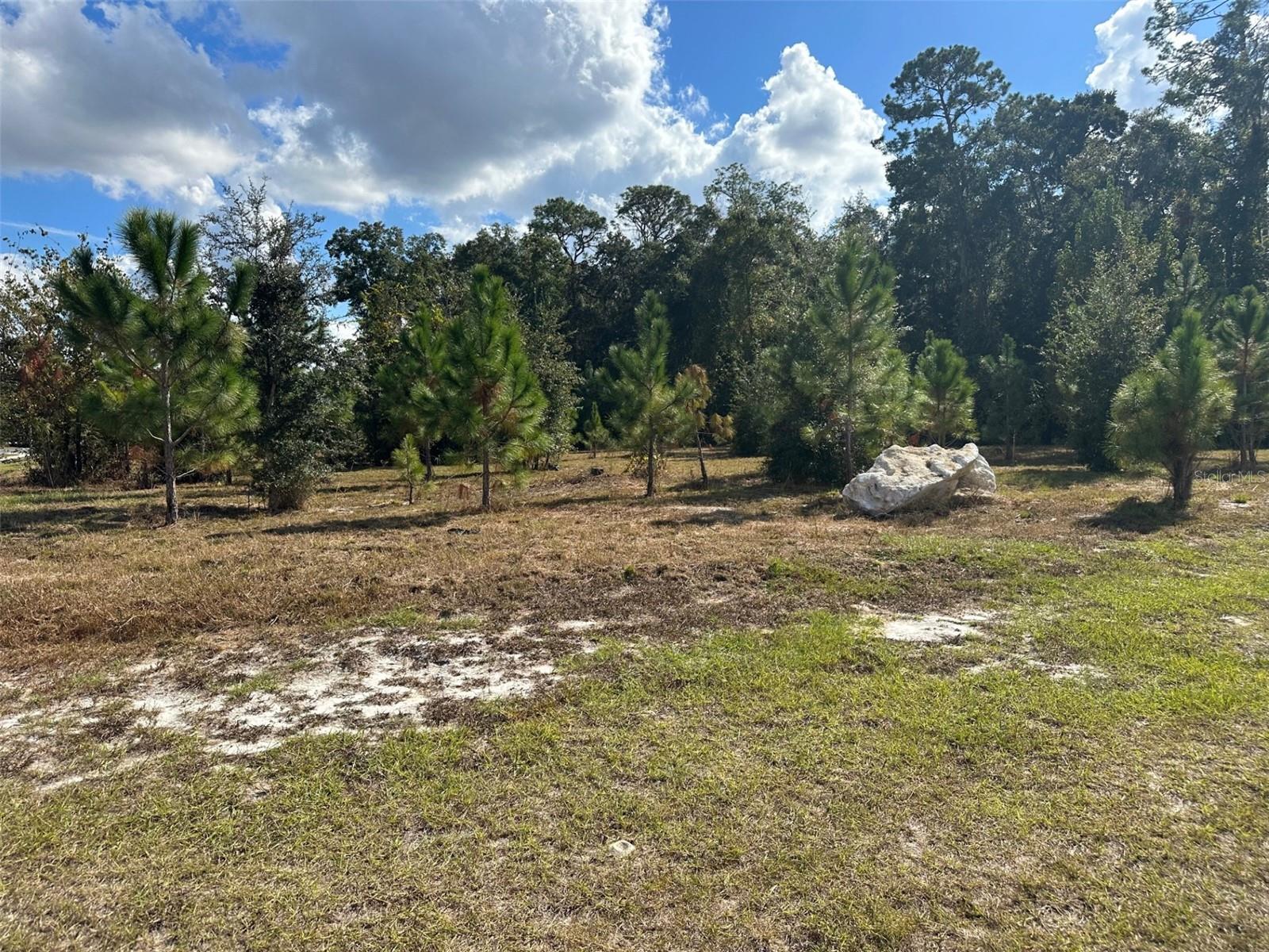 TBD SW 24TH AVE, GAINESVILLE, FL — photo 4