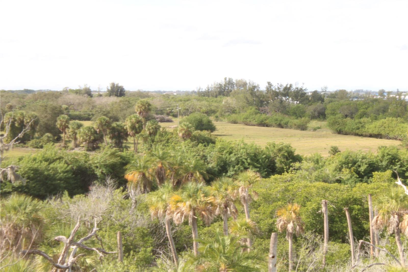 2625 TERRA CEIA BAY BLVD #401, PALMETTO, FL — photo 21
