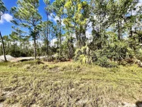 27076 BADGER DR — photo 2