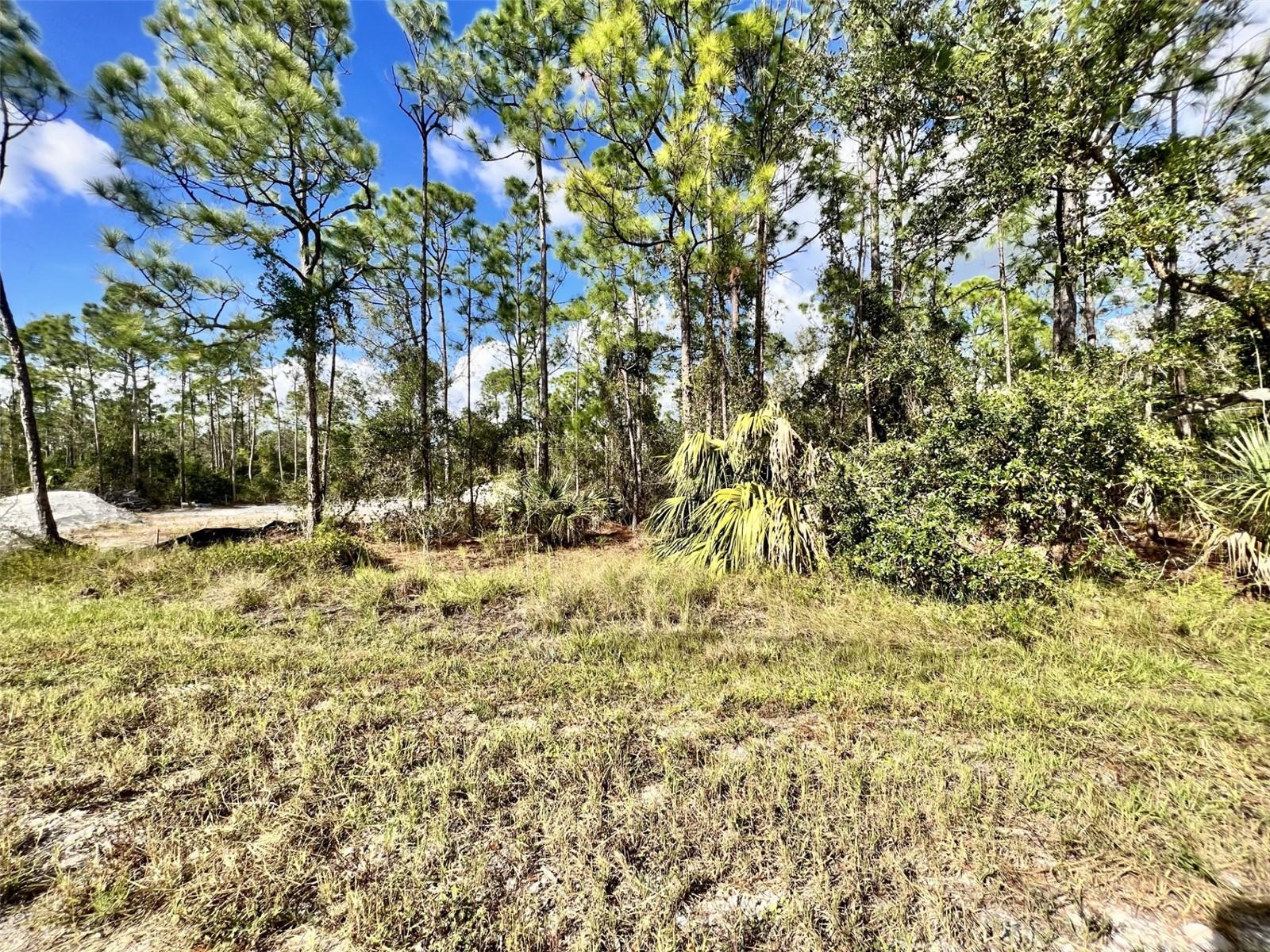 27076 BADGER DR, PUNTA GORDA, FL