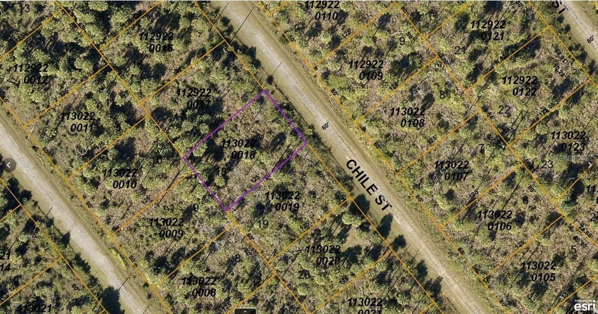 1130220018 CHILE ST, NORTH PORT, FL