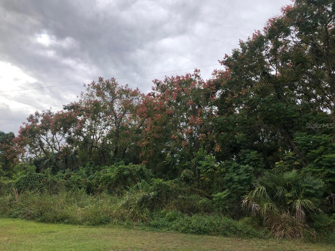 VIRGINIA DR, ALTAMONTE SPRINGS, FL