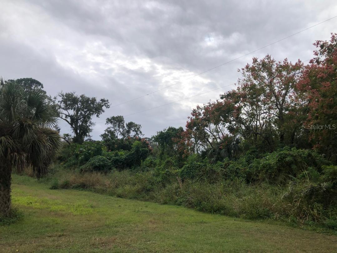 VIRGINIA DR, ALTAMONTE SPRINGS, FL — photo 3