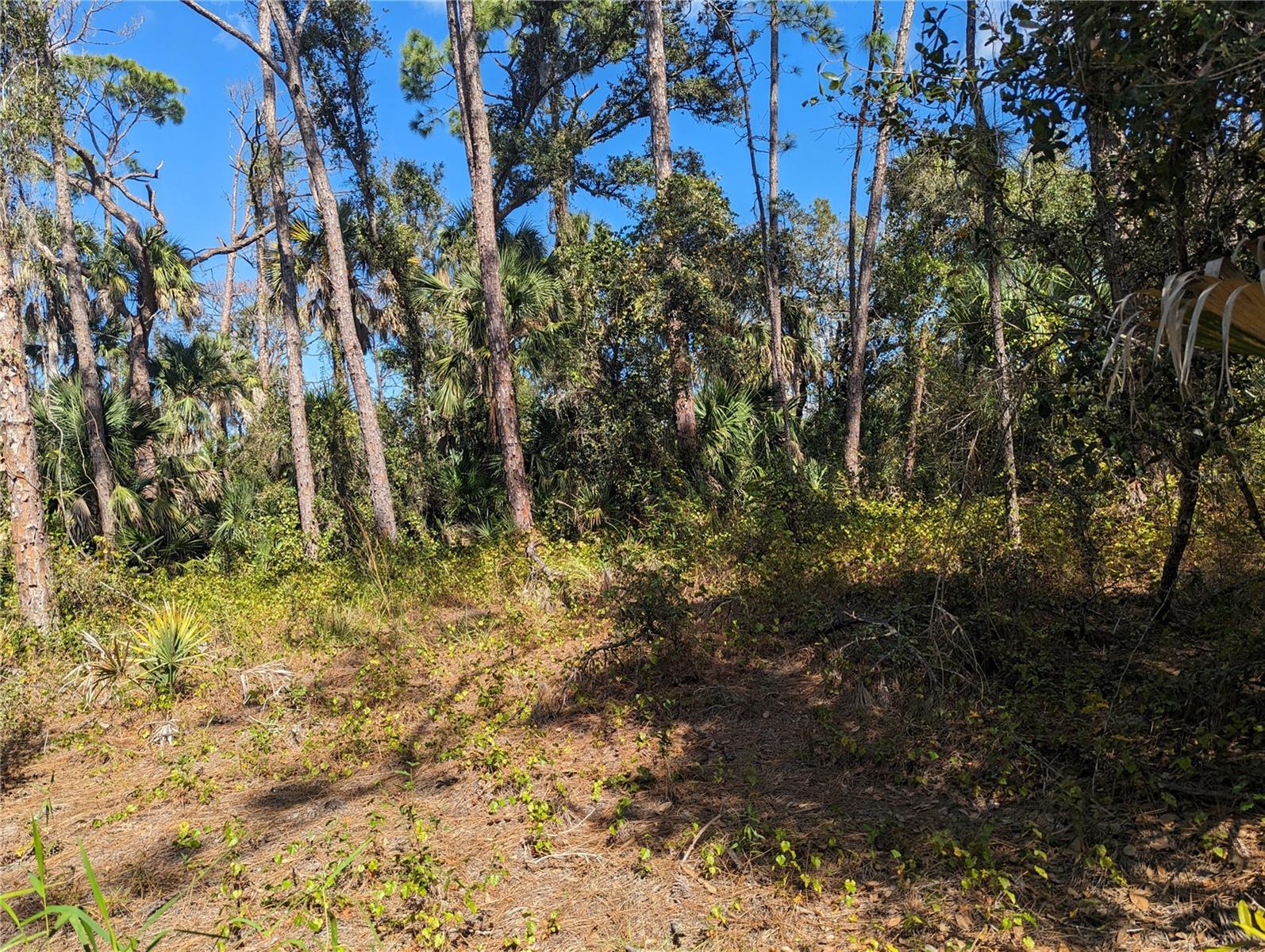 0 APRICOLA RD #Lot 14, NORTH PORT, FL — photo 2