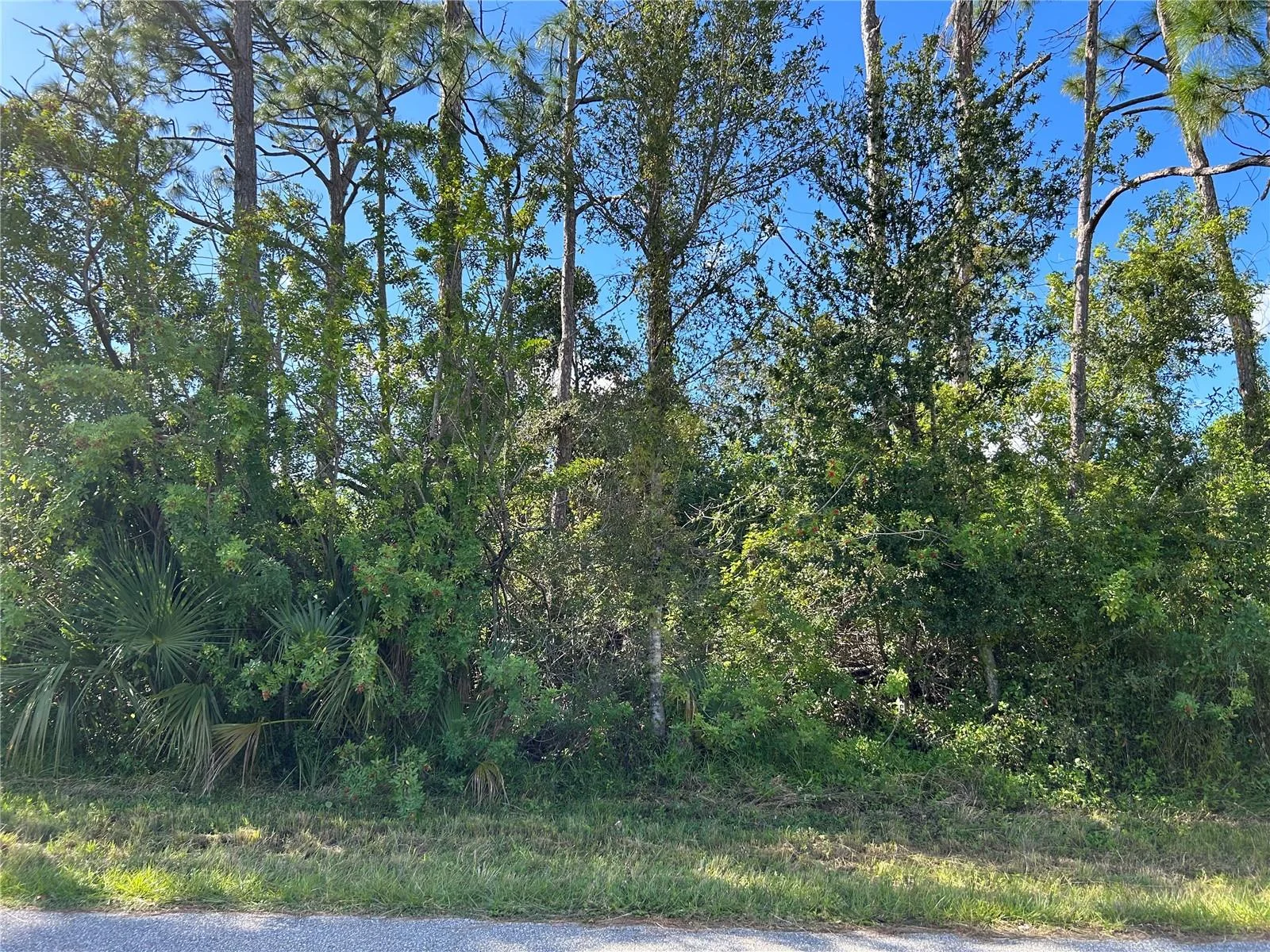 168 CAPATOLA ST, PORT CHARLOTTE, FL — photo 4