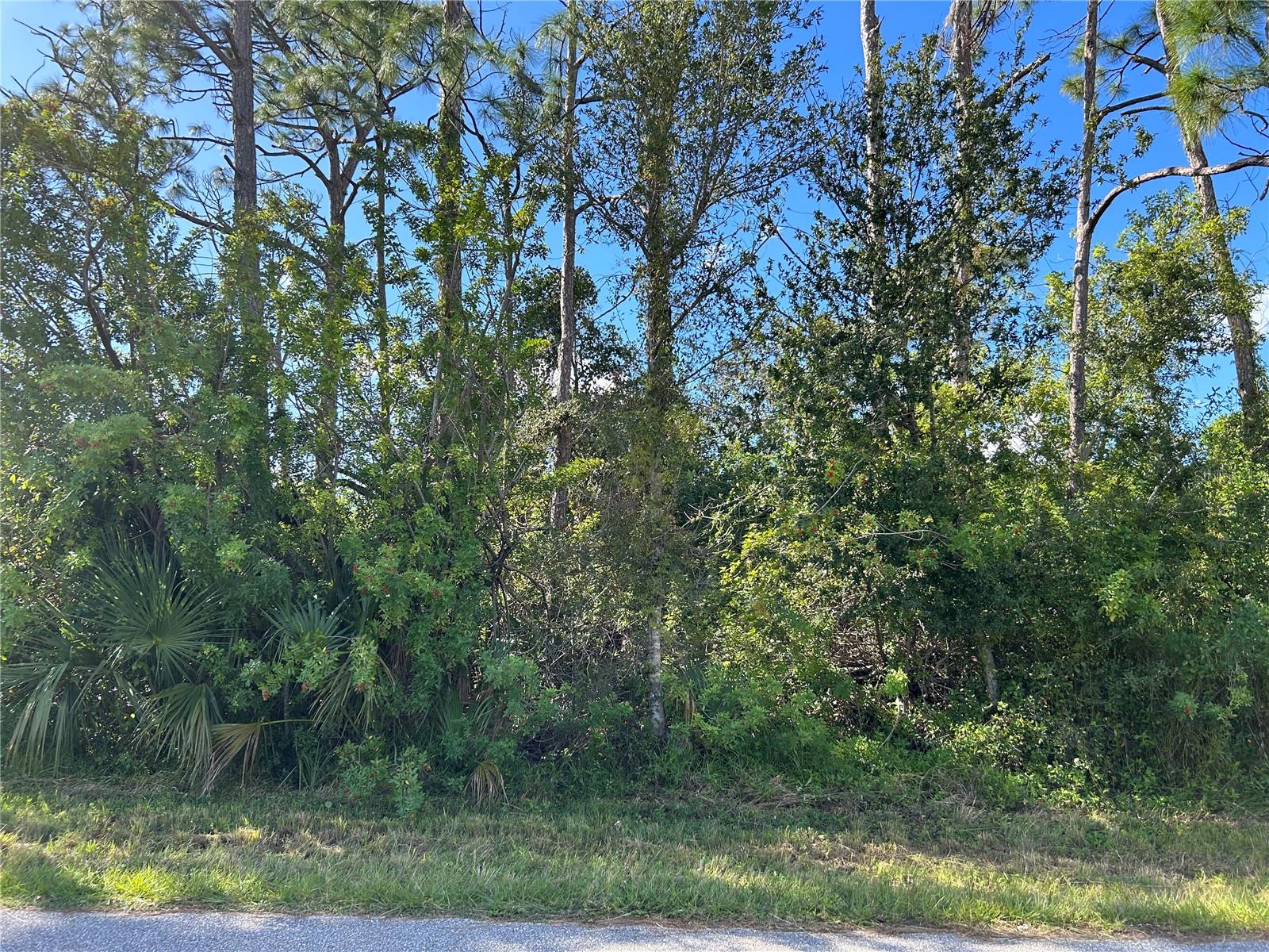 168 CAPATOLA ST, PORT CHARLOTTE, FL — photo 3