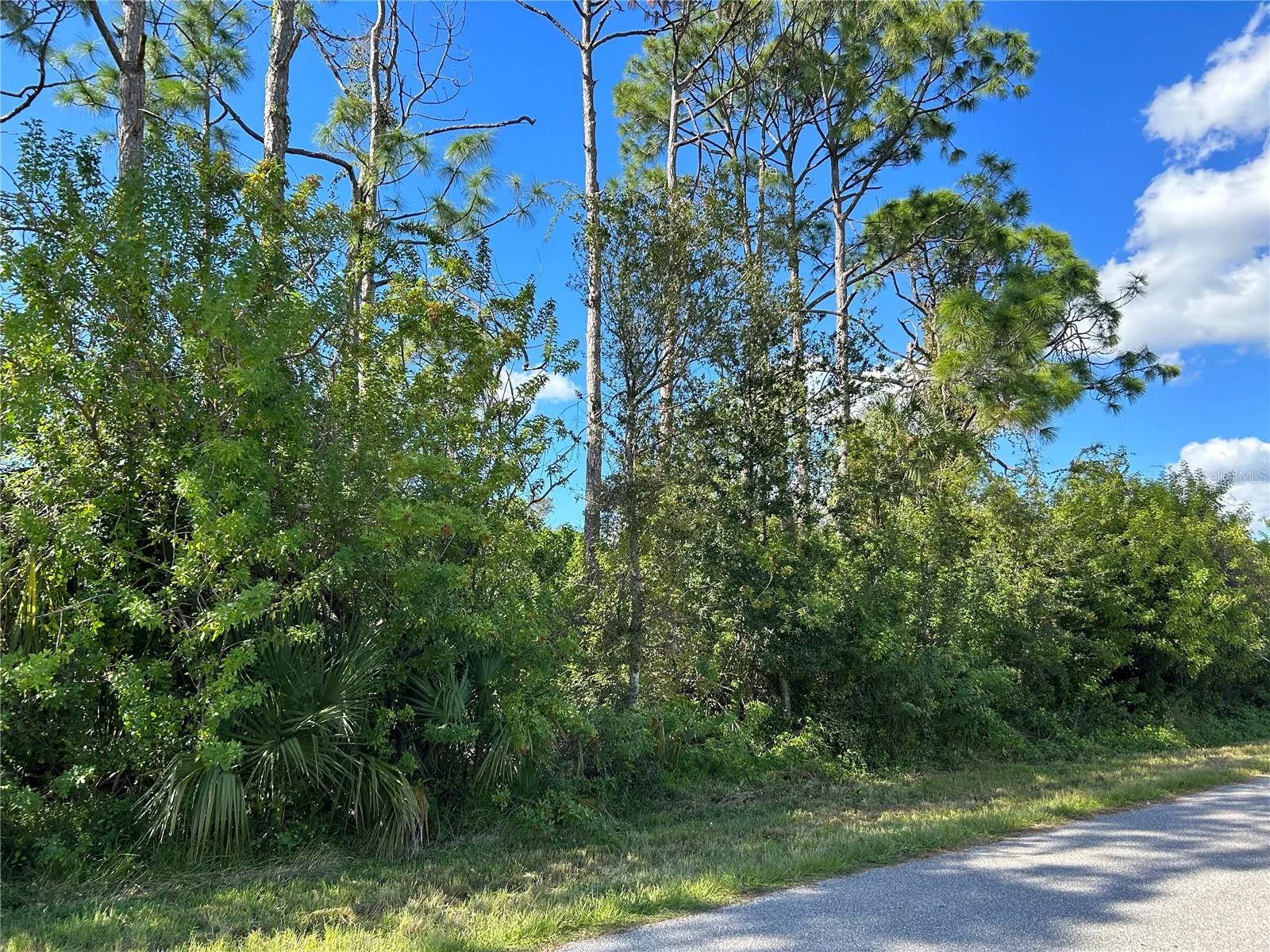 168 CAPATOLA ST, PORT CHARLOTTE, FL — photo 11