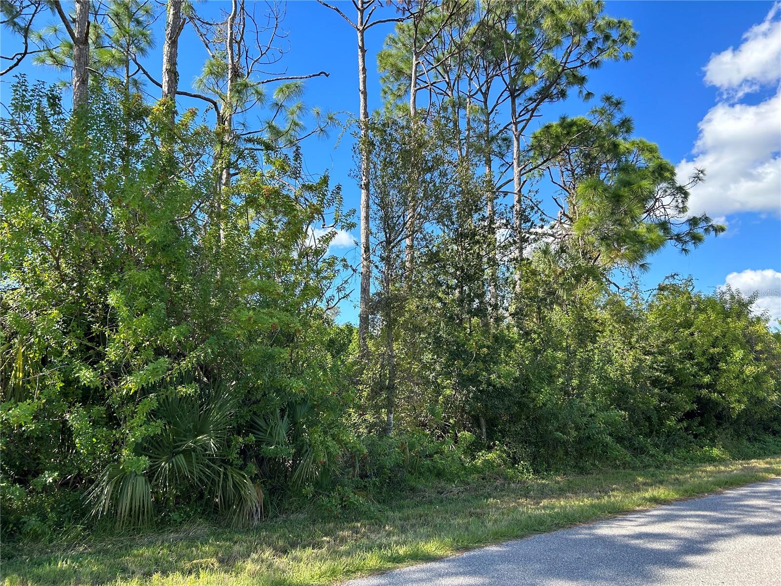 168 CAPATOLA ST, PORT CHARLOTTE, FL — photo 12