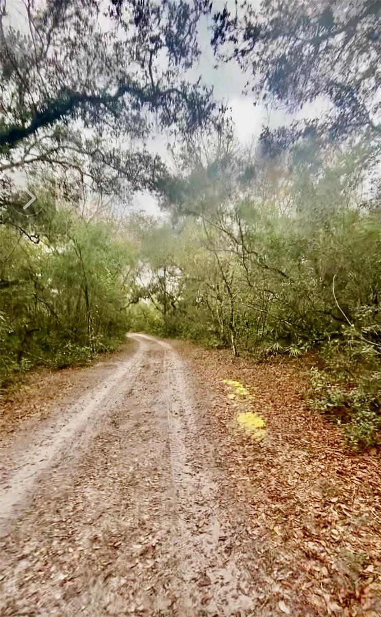 3986 S PELICAN AVE, INVERNESS, FL — photo 3