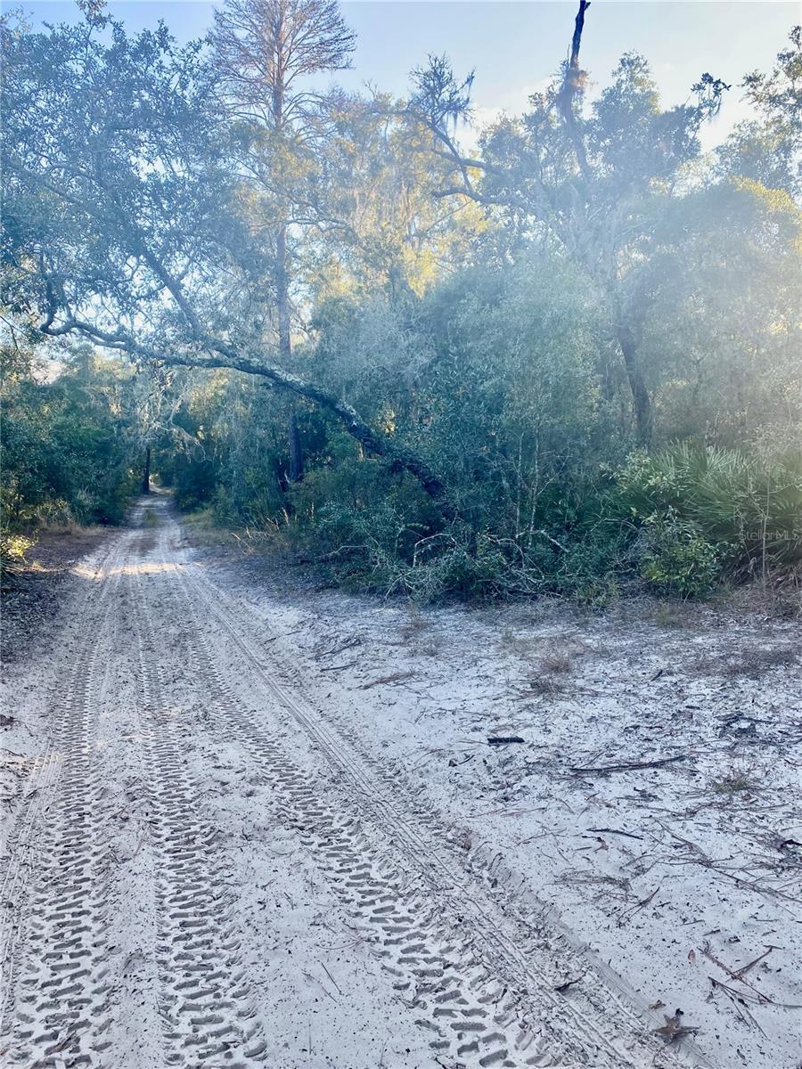 3986 S PELICAN AVE, INVERNESS, FL — photo 4
