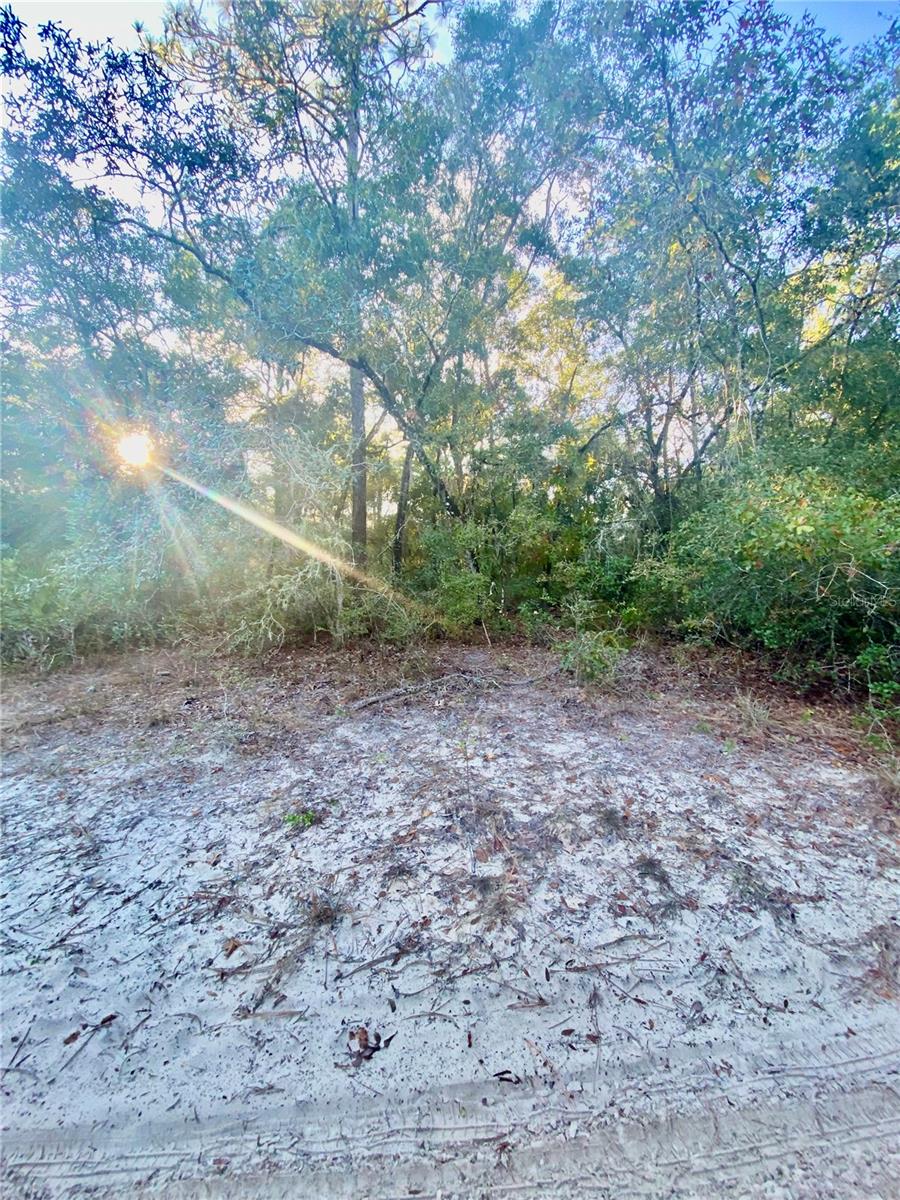 3986 S PELICAN AVE, INVERNESS, FL — photo 5