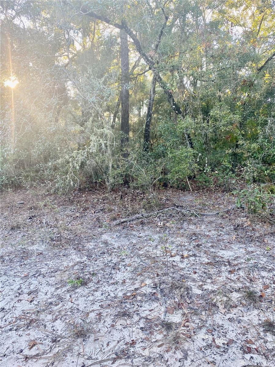 3986 S PELICAN AVE, INVERNESS, FL — photo 7