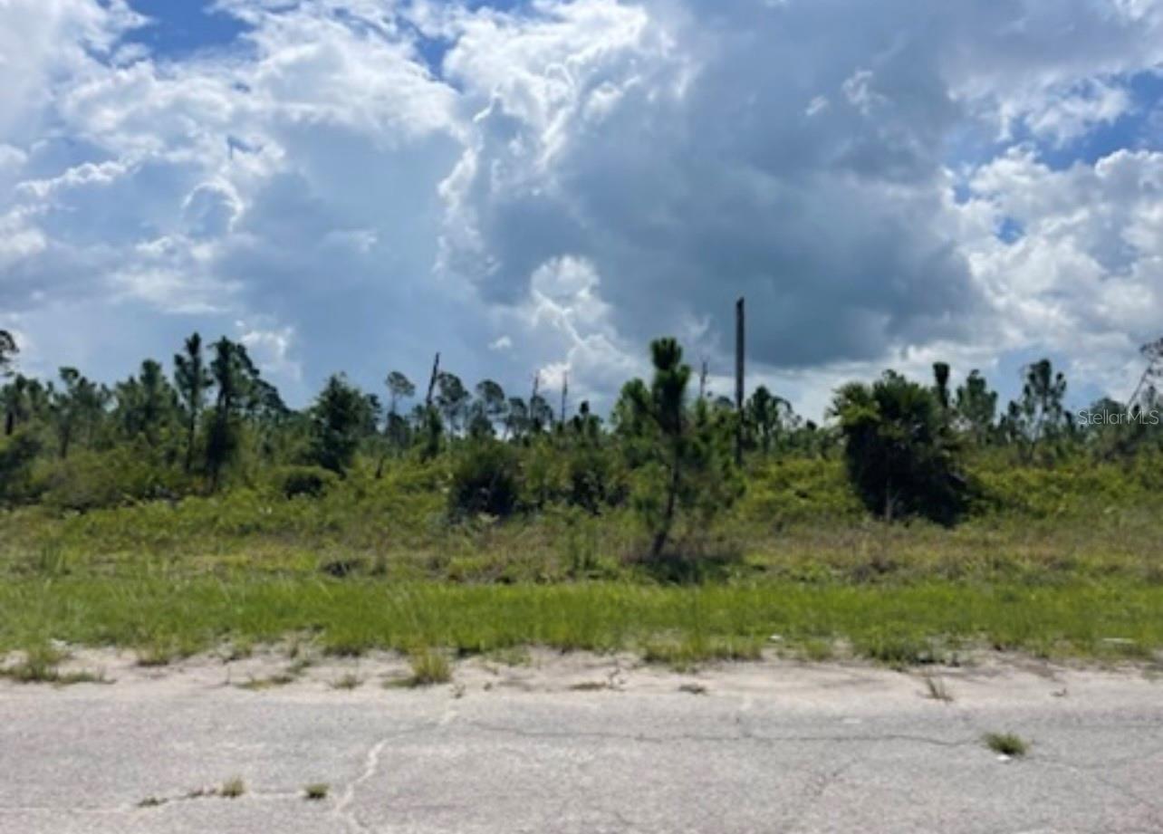Lot 2 JOEWOOD CIR, NORTH PORT, FL — photo 6