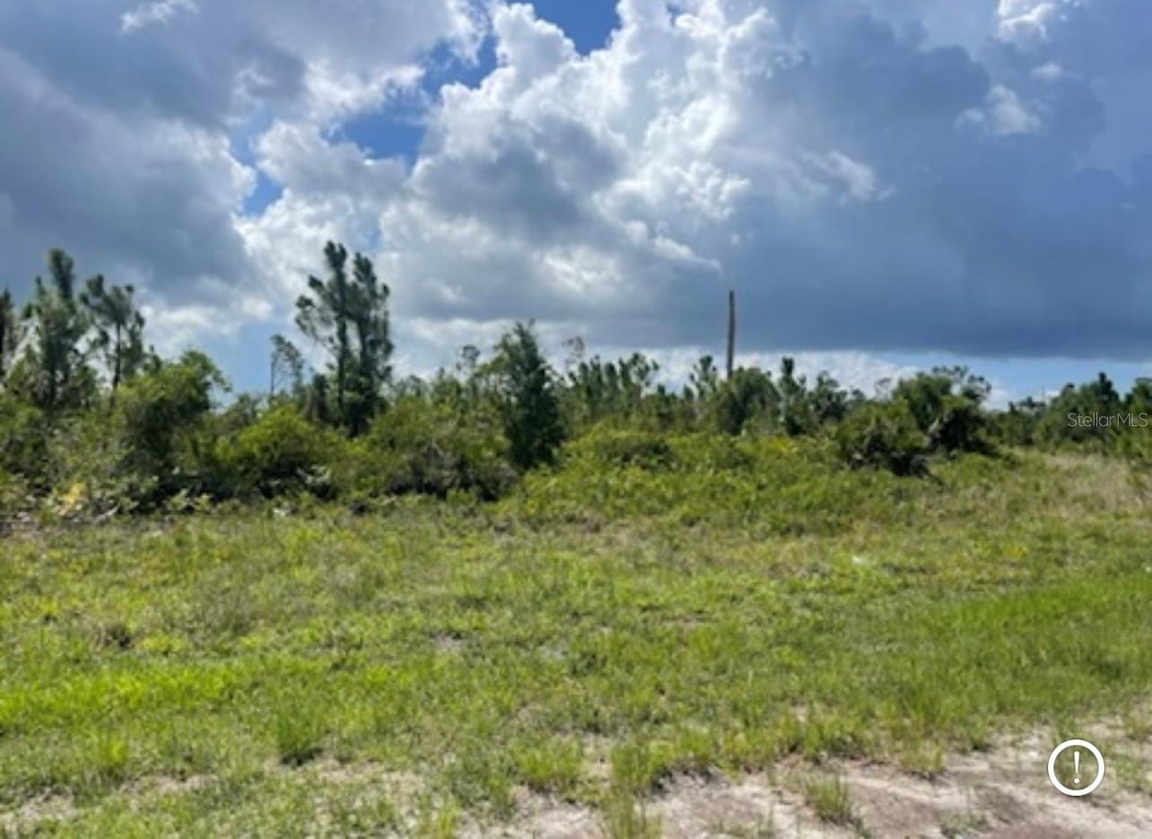 Lot 2 JOEWOOD CIR, NORTH PORT, FL — photo 12