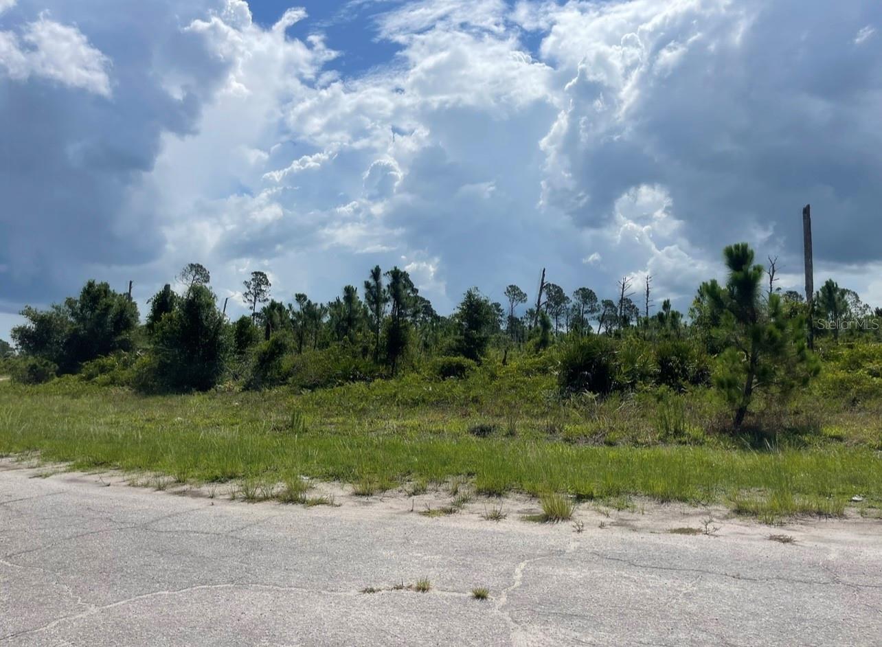 Lot 2 JOEWOOD CIR, NORTH PORT, FL — photo 30