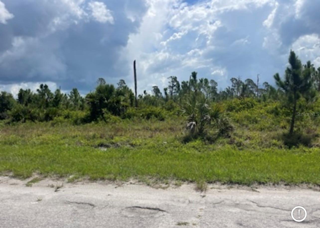 Lot 2 JOEWOOD CIR, NORTH PORT, FL — photo 33