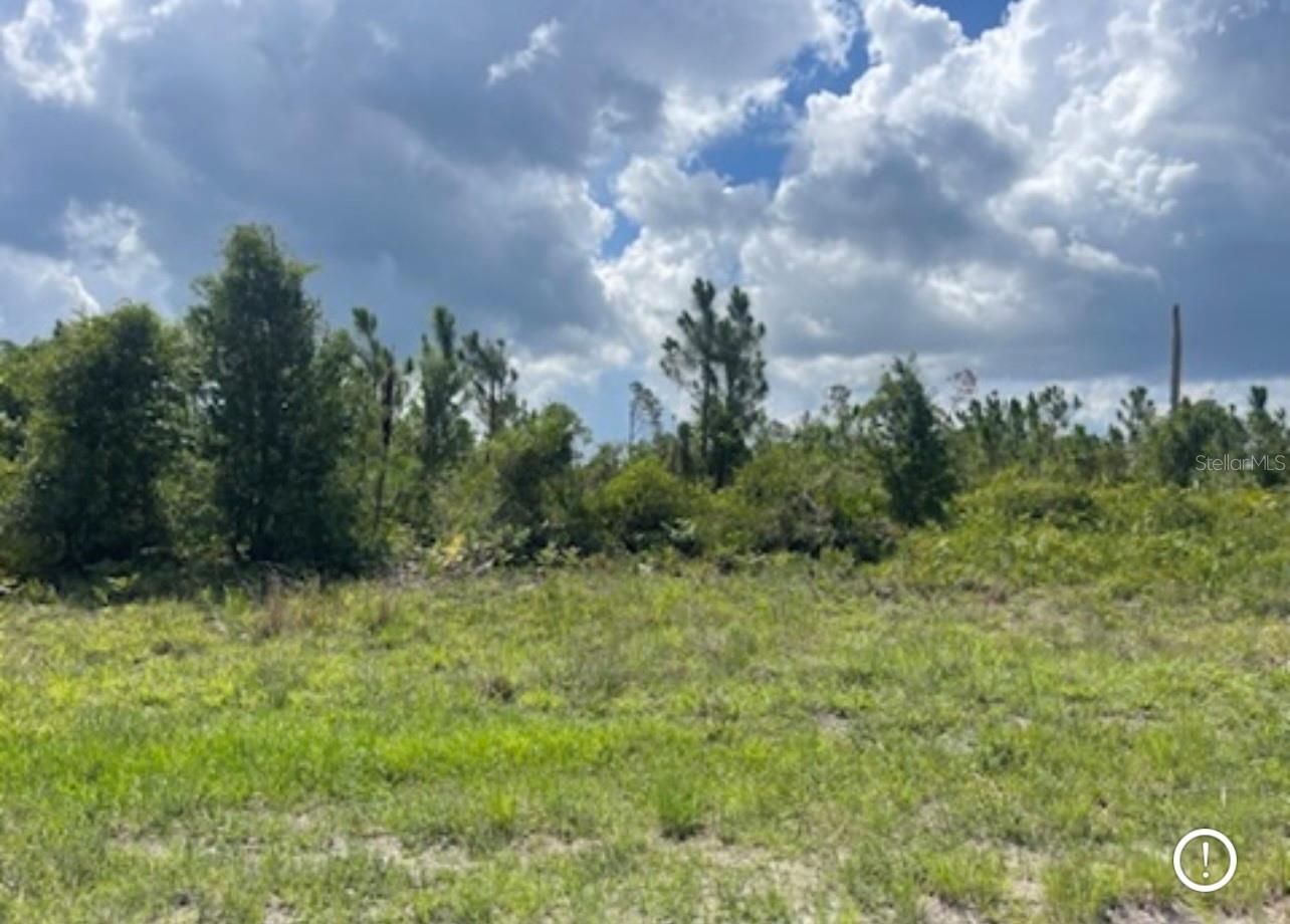 Lot 1 JOEWOOD CIR, NORTH PORT, FL — photo 5