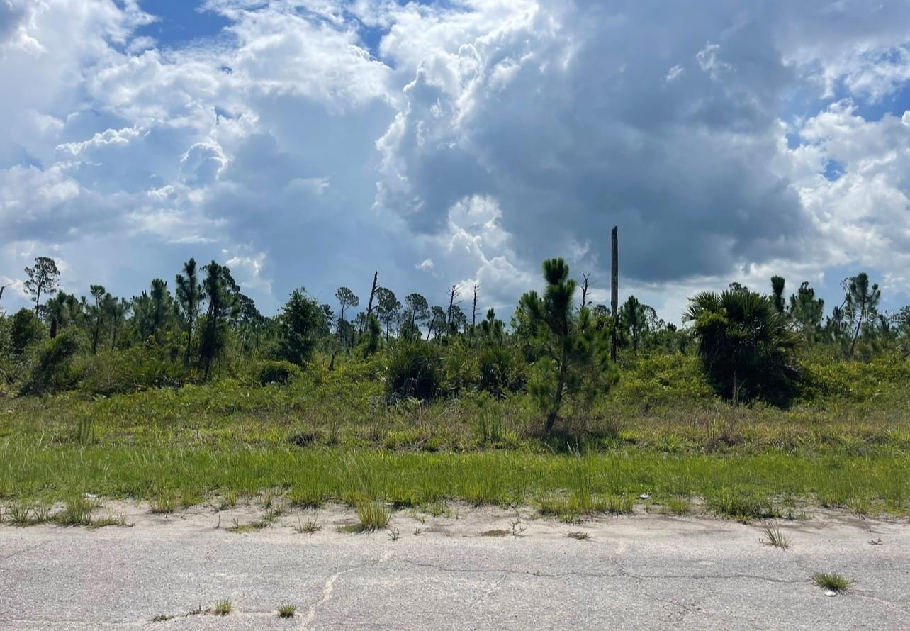 Lot 1 JOEWOOD CIR, NORTH PORT, FL — photo 24