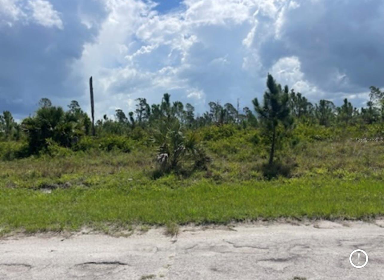 Lot 1 JOEWOOD CIR, NORTH PORT, FL — photo 37