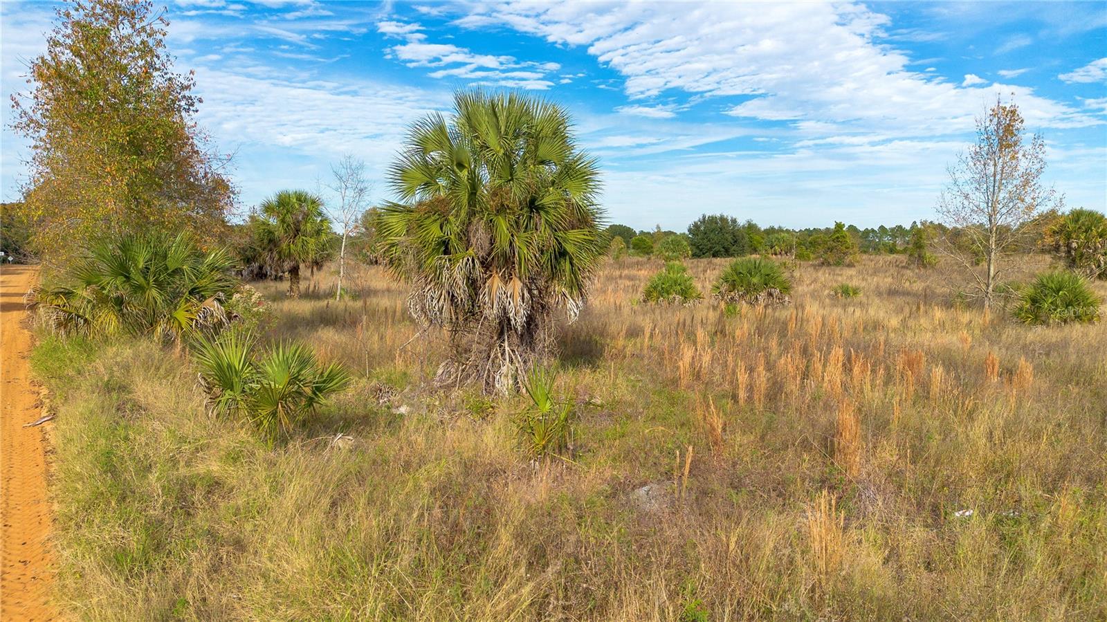 28432 S EICHELBERGER RD, TAVARES, FL — photo 3