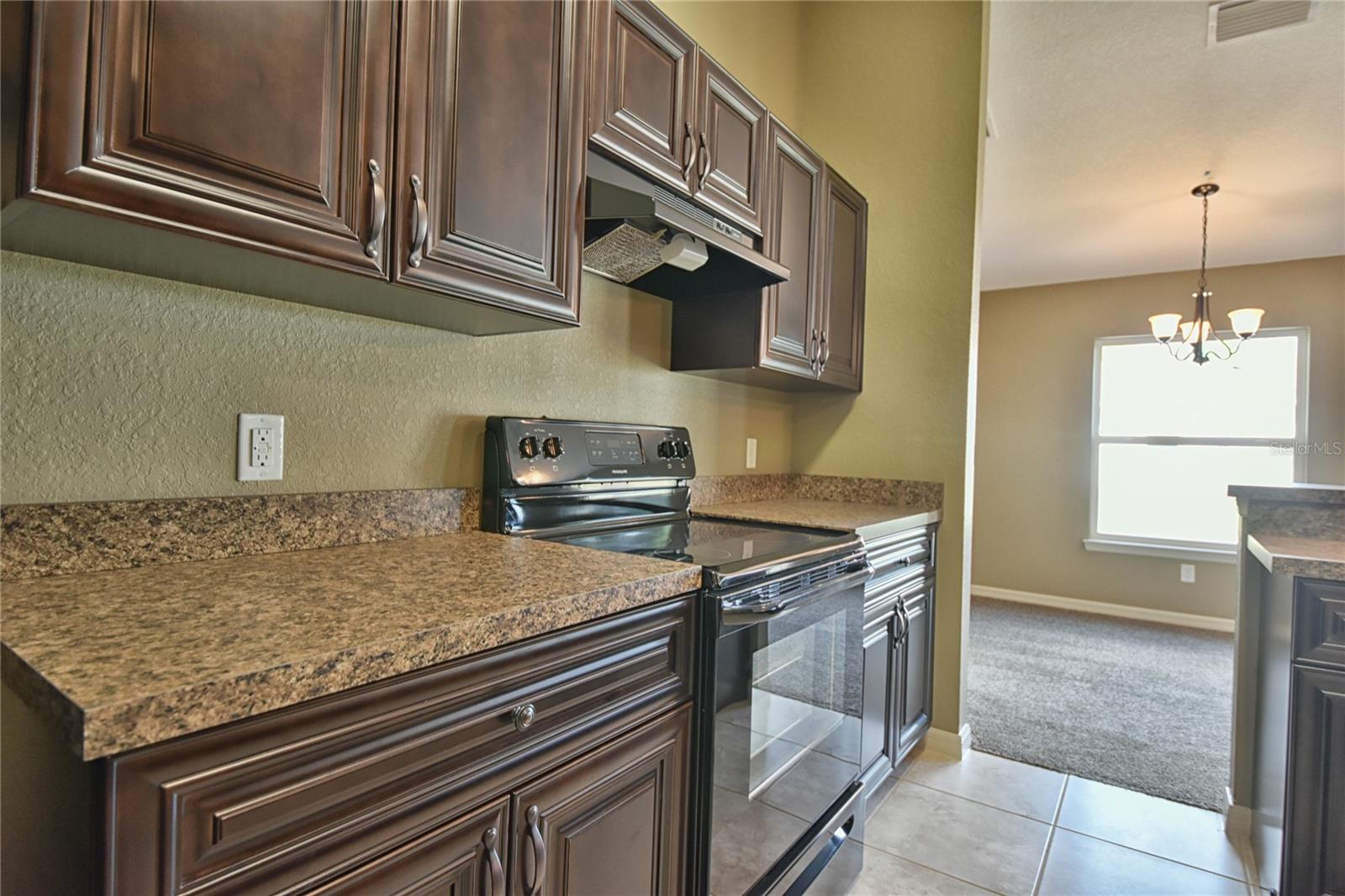 12472 SW 85TH PL, DUNNELLON, FL — photo 13