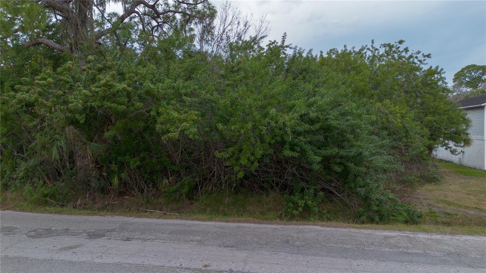 6317 OELSNER ST, NEW PORT RICHEY, FL — photo 7