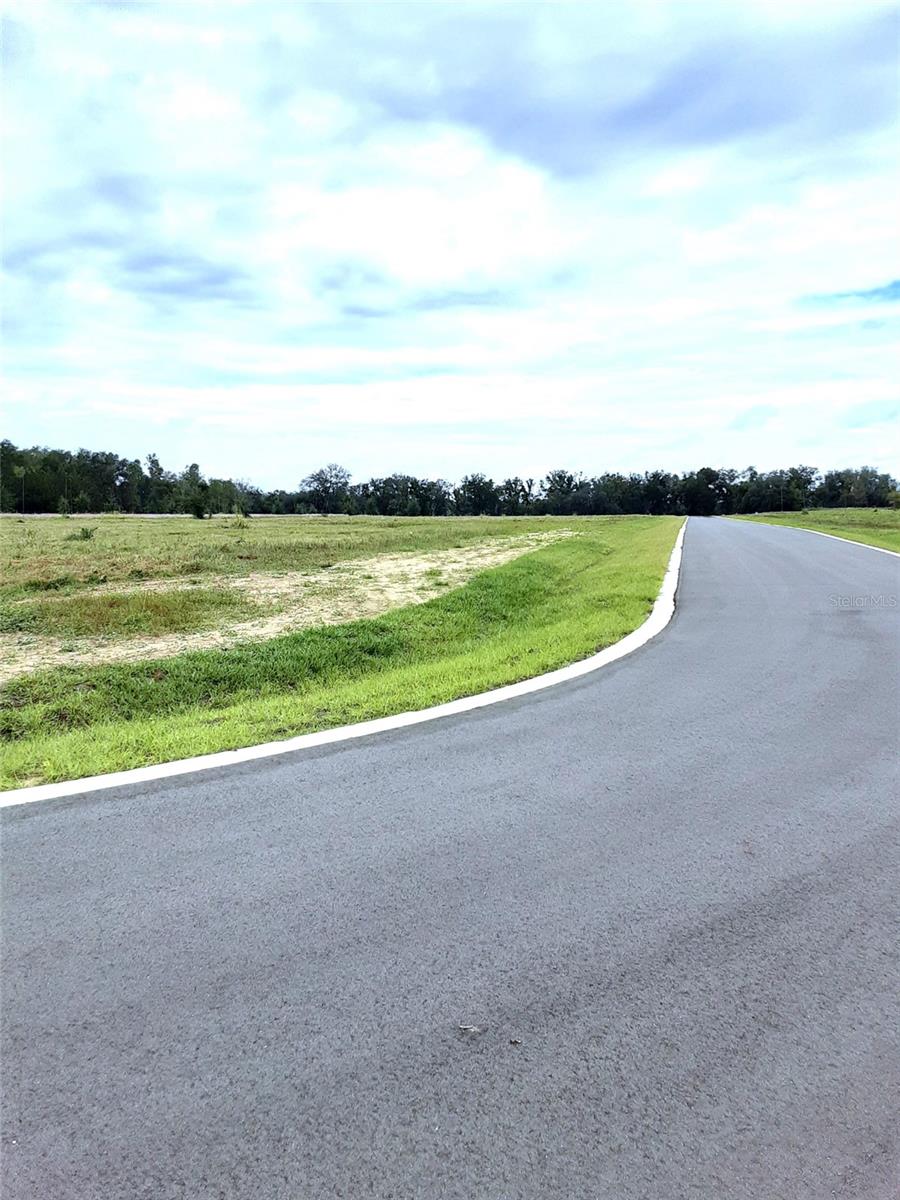 5561 PANORAMIC VIEW DR, APOPKA, FL — photo 12