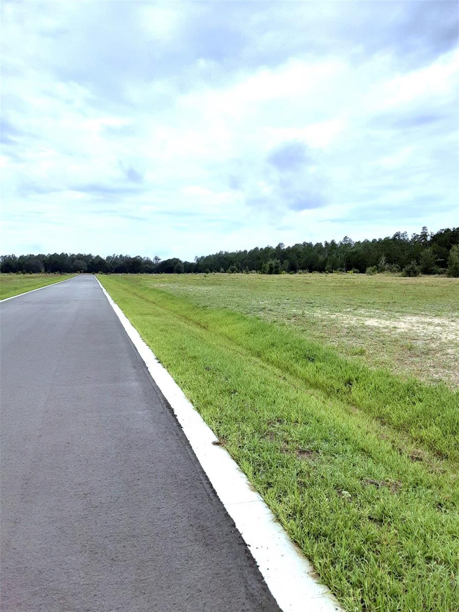 5525 PANORAMIC VIEW DR, APOPKA, FL — photo 11