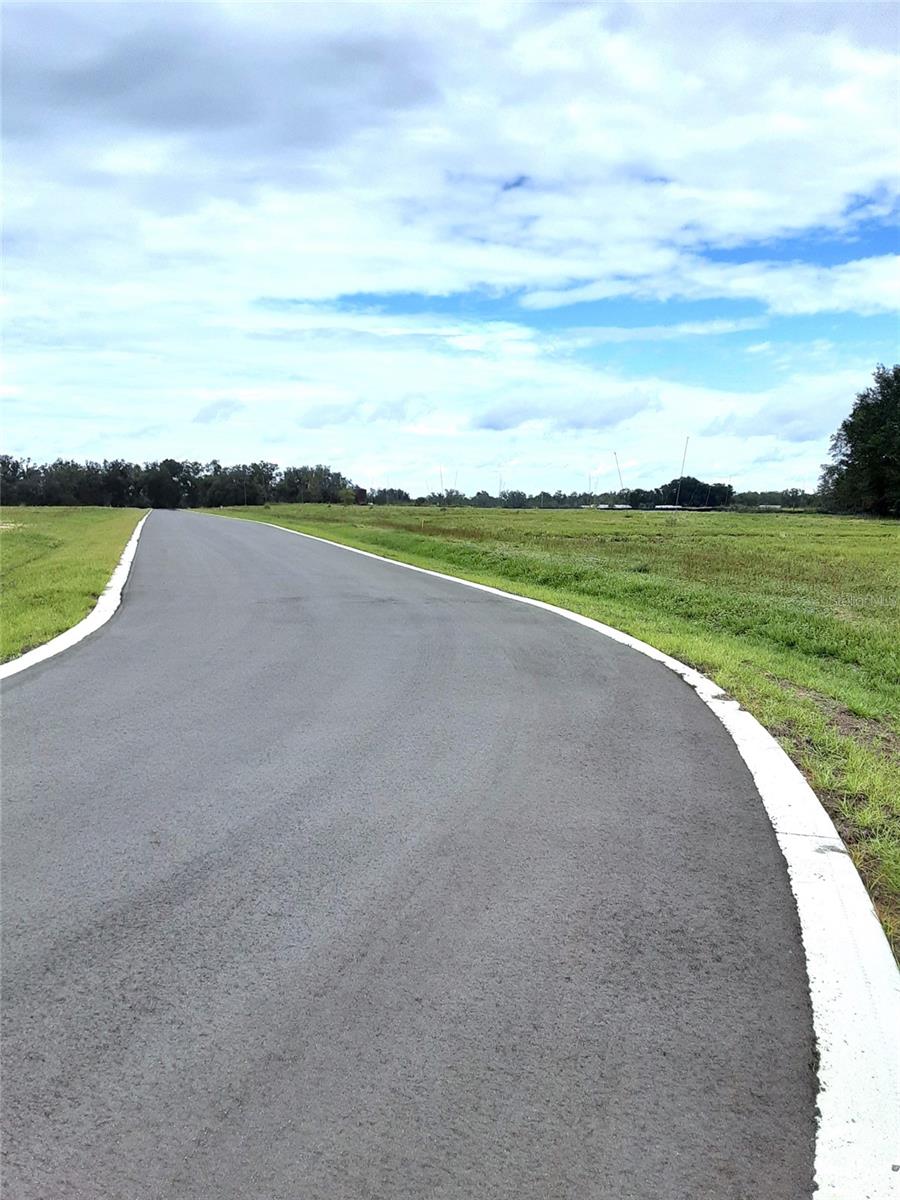 5536 PANORAMIC VIEW DR, APOPKA, FL — photo 10
