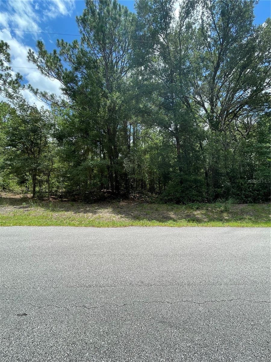 TBD SW 59TH LN, DUNNELLON, FL