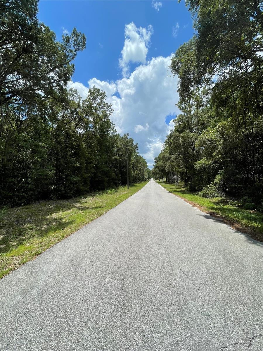 TBD SW 59TH LN, DUNNELLON, FL — photo 4