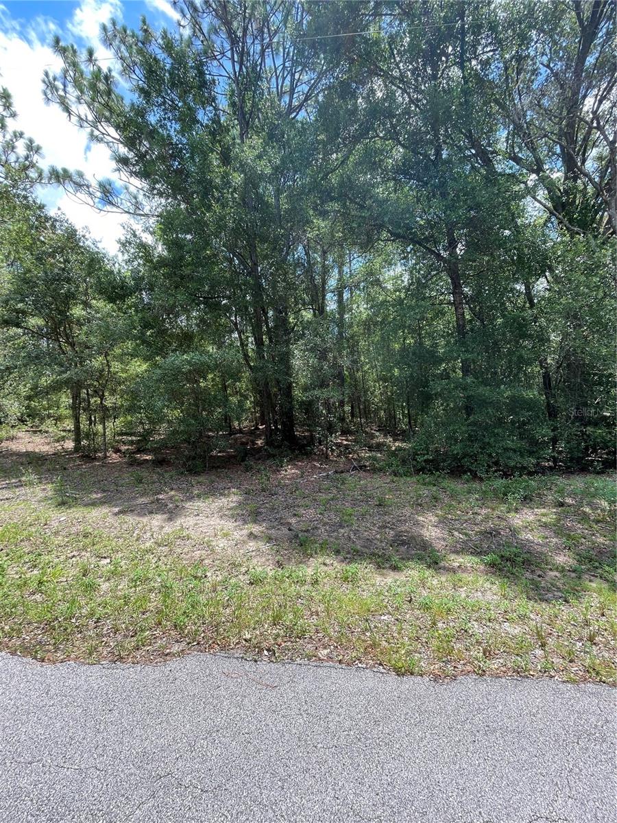 TBD SW 59TH LN, DUNNELLON, FL — photo 5