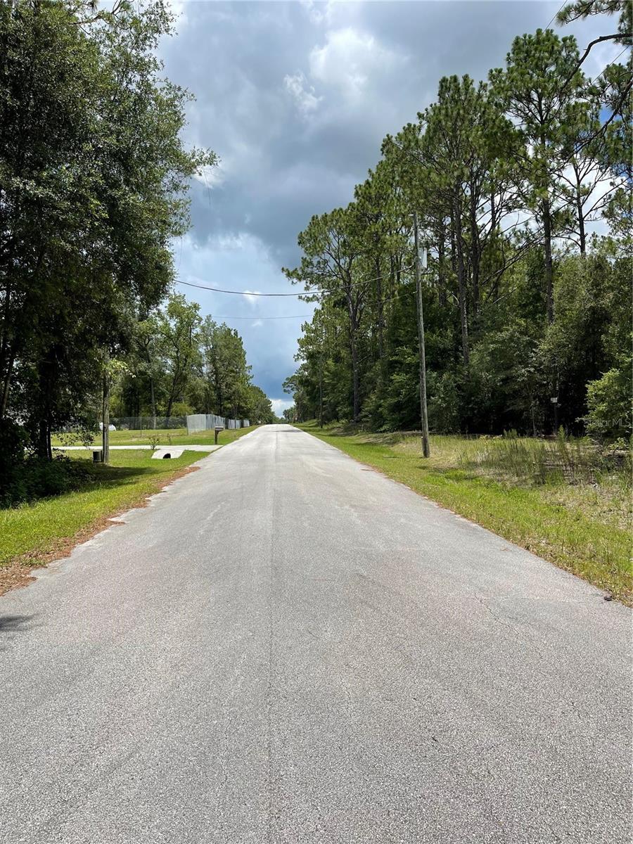 TBD SW 59TH LN, DUNNELLON, FL — photo 6