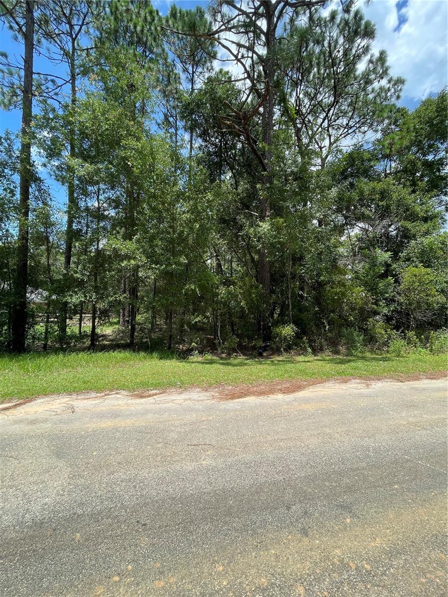 TBD SW 59TH LN, DUNNELLON, FL — photo 7