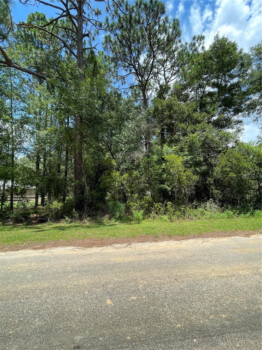 TBD SW 59TH LN, DUNNELLON, FL — photo 9