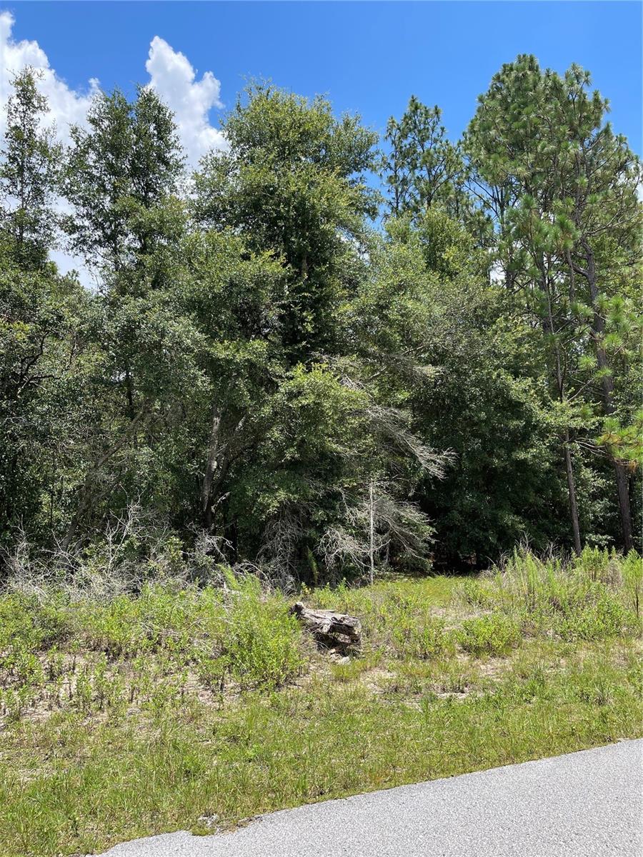 TBD SW 59TH LN, DUNNELLON, FL — photo 10