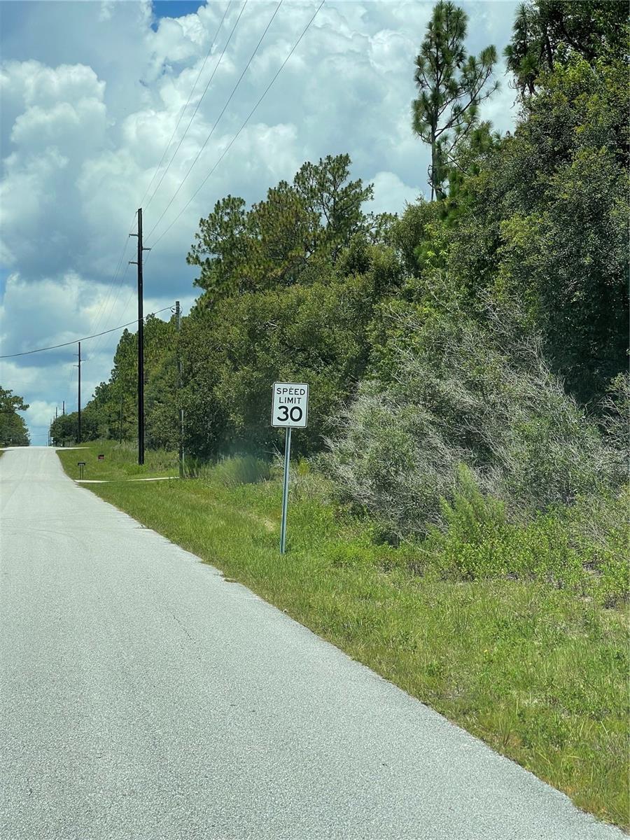 TBD SW 59TH LN, DUNNELLON, FL — photo 12