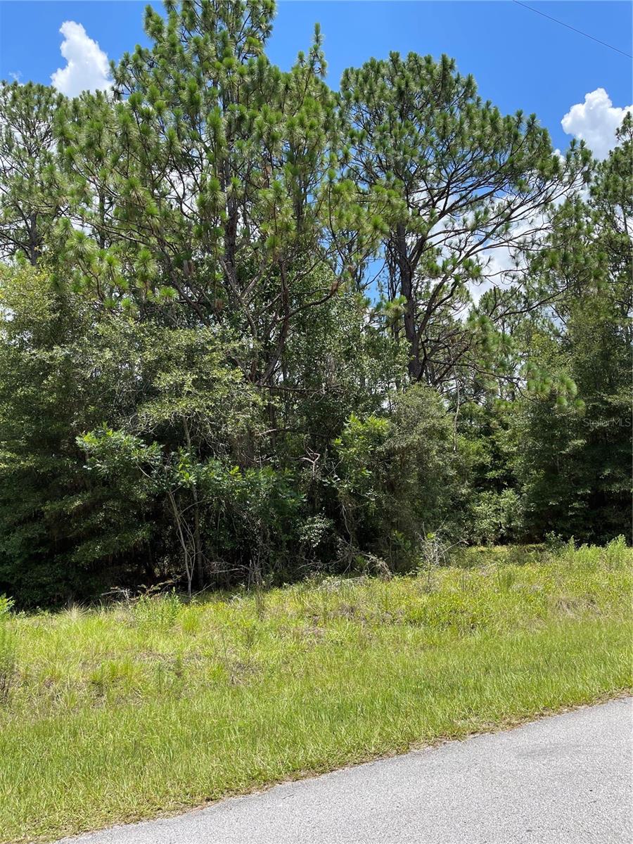 TBD SW 59TH LN, DUNNELLON, FL — photo 13