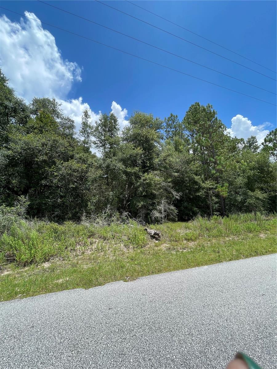 TBD SW 59TH LN, DUNNELLON, FL — photo 14