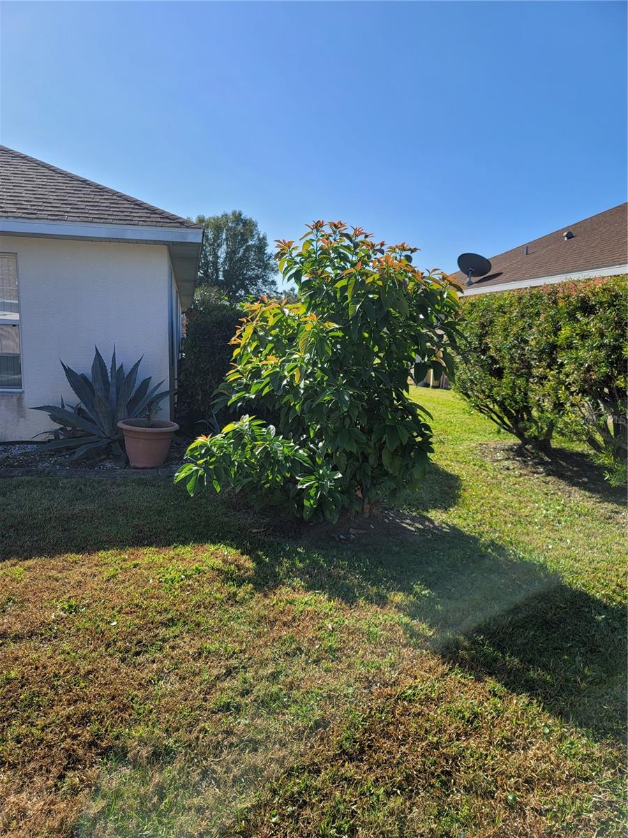 4773 NW 32ND ST, OCALA, FL — photo 13