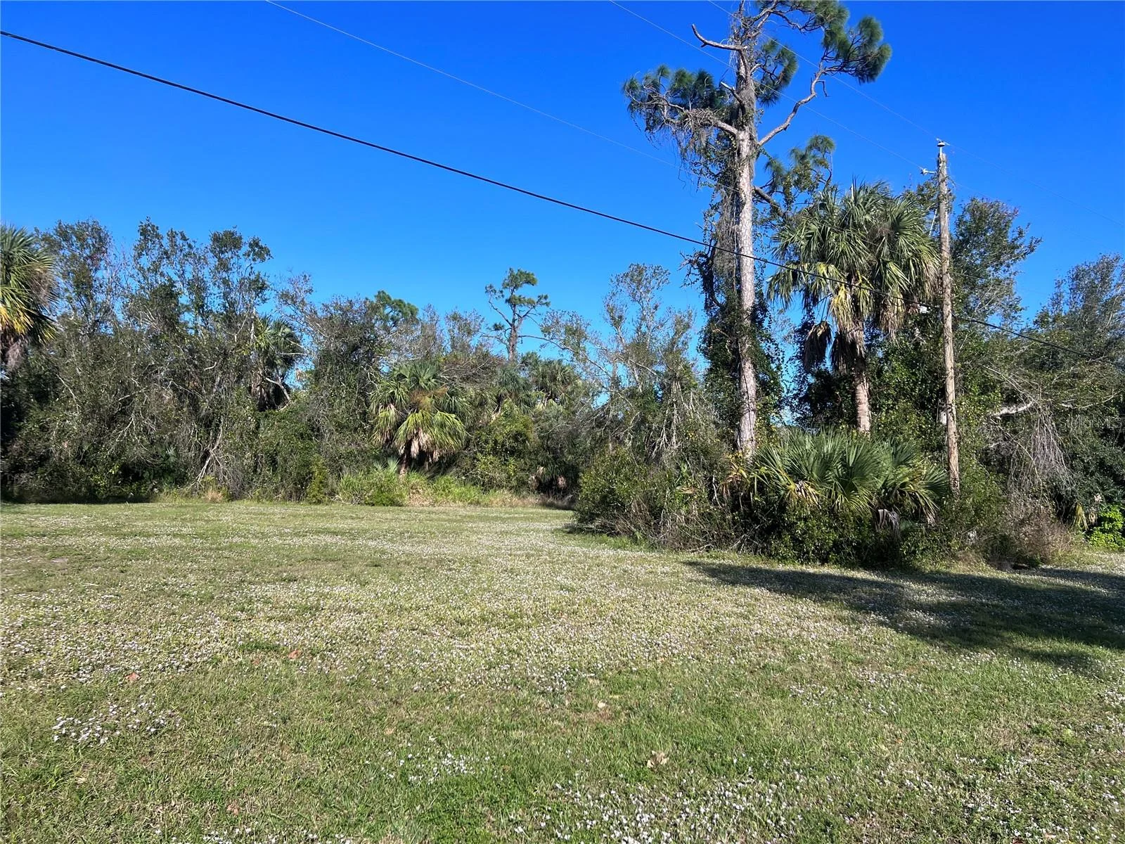 16819 ACAPULCO RD, PUNTA GORDA, FL — photo 3