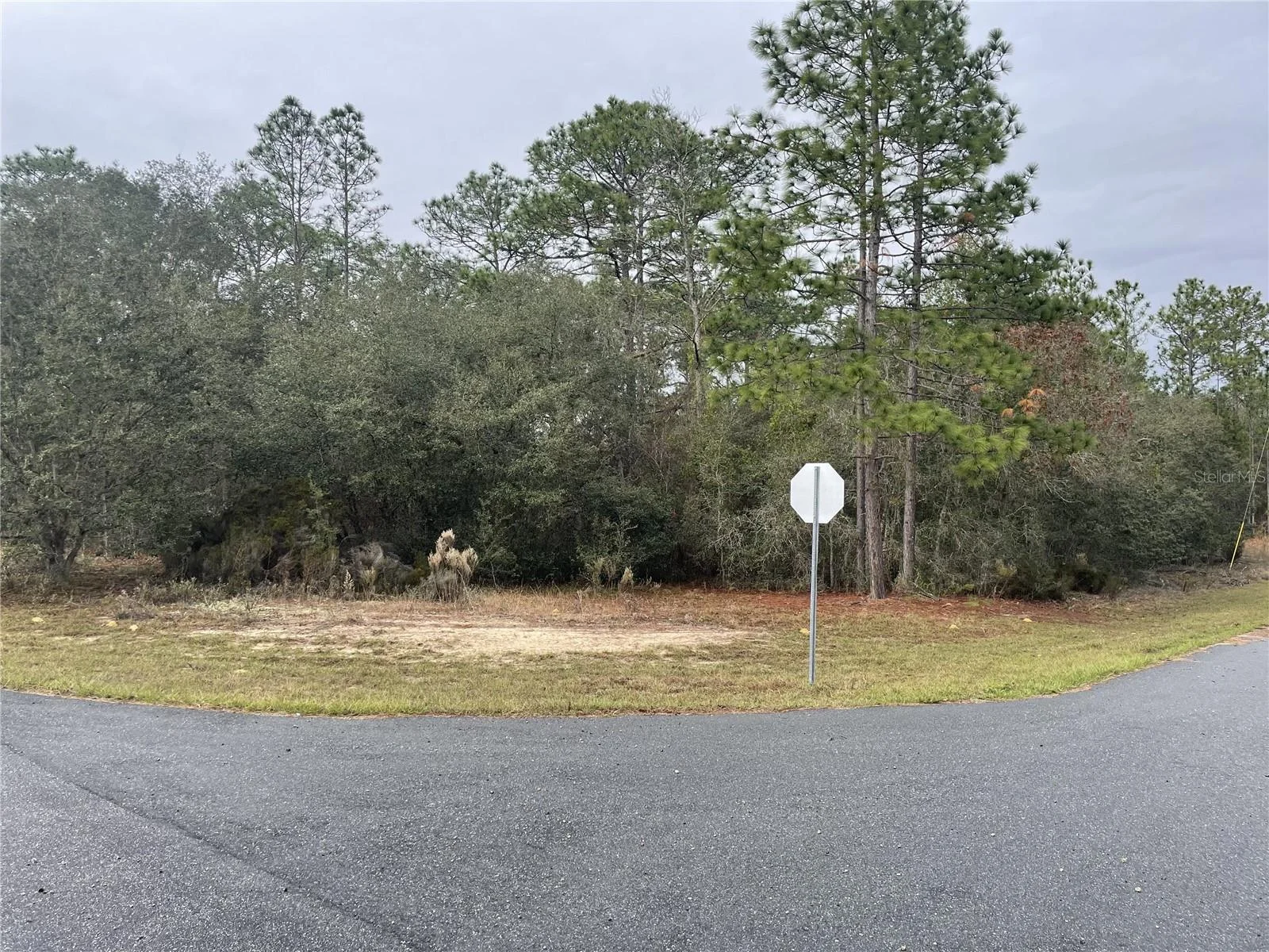 11290 N KENNEY LOOP, CITRUS SPRINGS, FL — photo 2