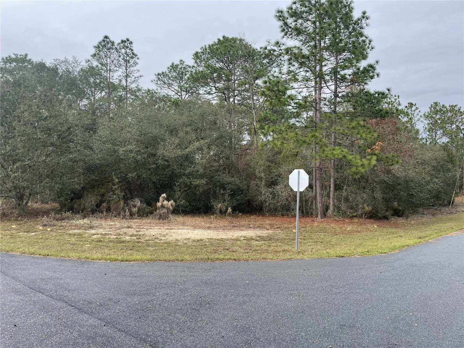 11290 N KENNEY LOOP, CITRUS SPRINGS, FL