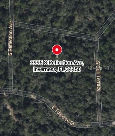 3995 S REFLECTION AVE, INVERNESS, FL — photo 2